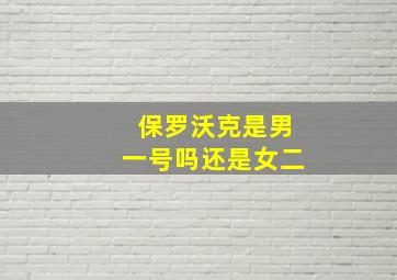 保罗沃克是男一号吗还是女二