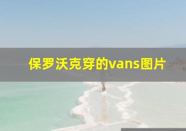 保罗沃克穿的vans图片