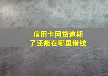 信用卡网贷逾期了还能在哪里借钱