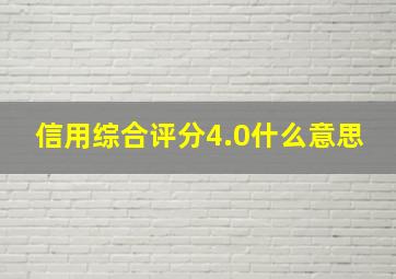 信用综合评分4.0什么意思