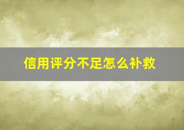 信用评分不足怎么补救