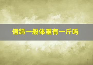 信鸽一般体重有一斤吗