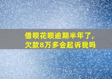 借呗花呗逾期半年了,欠款8万多会起诉我吗