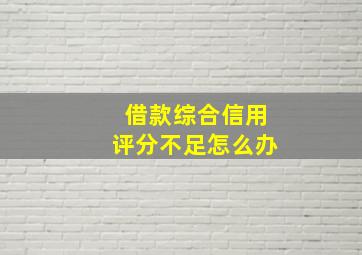 借款综合信用评分不足怎么办