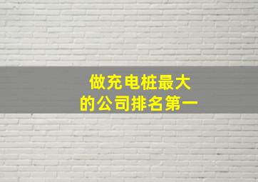 做充电桩最大的公司排名第一