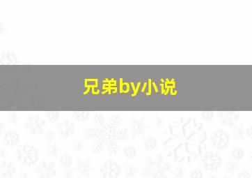 兄弟by小说