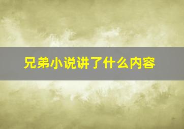 兄弟小说讲了什么内容