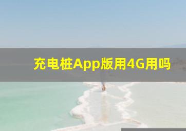 充电桩App版用4G用吗