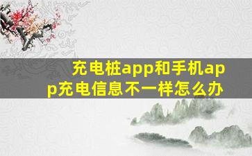 充电桩app和手机app充电信息不一样怎么办