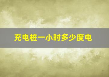 充电桩一小时多少度电