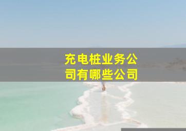 充电桩业务公司有哪些公司