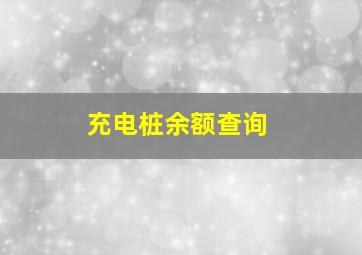 充电桩余额查询