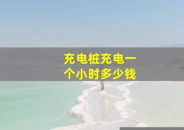 充电桩充电一个小时多少钱