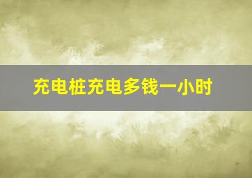 充电桩充电多钱一小时