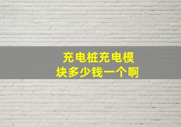 充电桩充电模块多少钱一个啊