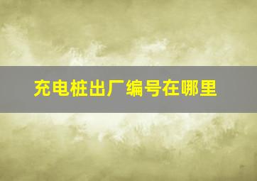 充电桩出厂编号在哪里