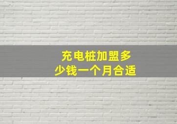 充电桩加盟多少钱一个月合适