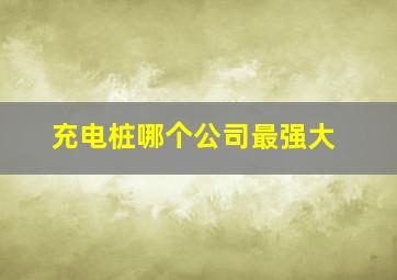 充电桩哪个公司最强大