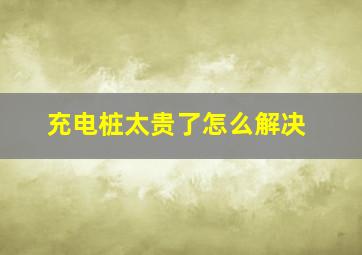 充电桩太贵了怎么解决