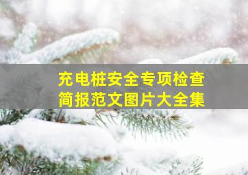 充电桩安全专项检查简报范文图片大全集