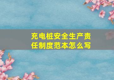 充电桩安全生产责任制度范本怎么写