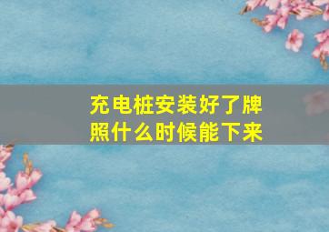 充电桩安装好了牌照什么时候能下来