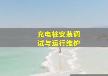 充电桩安装调试与运行维护