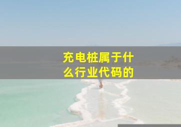 充电桩属于什么行业代码的