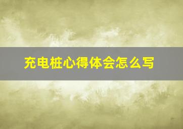 充电桩心得体会怎么写