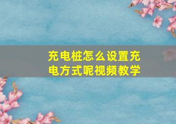 充电桩怎么设置充电方式呢视频教学