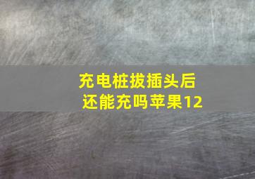 充电桩拔插头后还能充吗苹果12