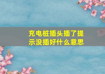 充电桩插头插了提示没插好什么意思