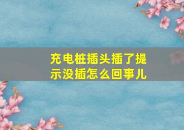 充电桩插头插了提示没插怎么回事儿