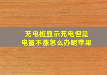 充电桩显示充电但是电量不涨怎么办呢苹果