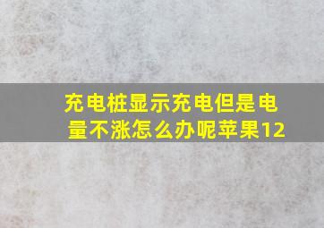 充电桩显示充电但是电量不涨怎么办呢苹果12