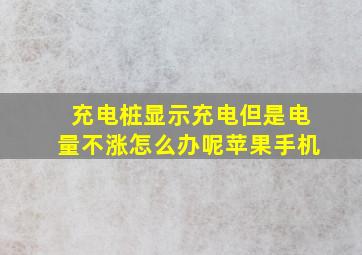 充电桩显示充电但是电量不涨怎么办呢苹果手机