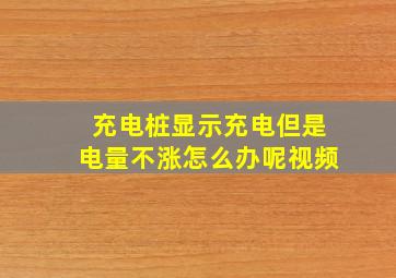 充电桩显示充电但是电量不涨怎么办呢视频