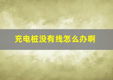 充电桩没有线怎么办啊