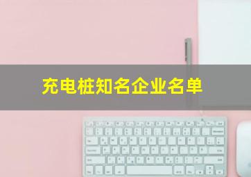 充电桩知名企业名单