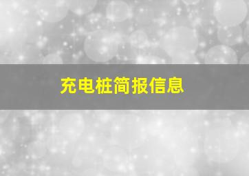 充电桩简报信息