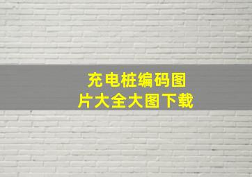 充电桩编码图片大全大图下载