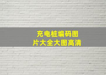 充电桩编码图片大全大图高清