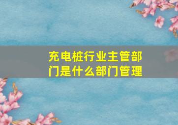 充电桩行业主管部门是什么部门管理