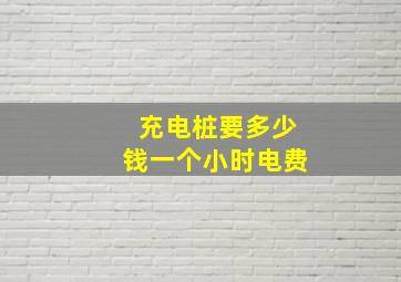 充电桩要多少钱一个小时电费