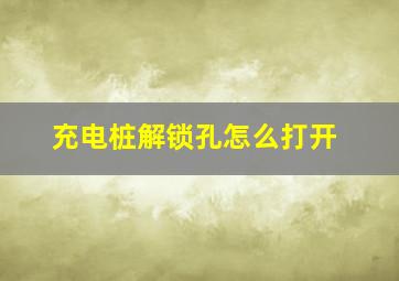 充电桩解锁孔怎么打开