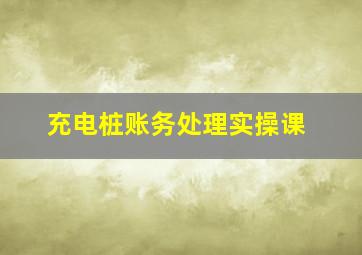 充电桩账务处理实操课