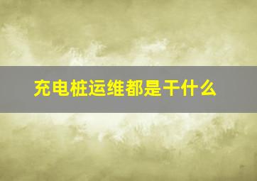 充电桩运维都是干什么