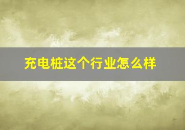 充电桩这个行业怎么样