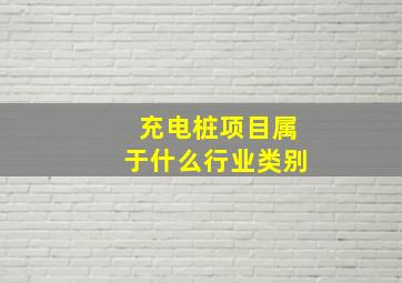 充电桩项目属于什么行业类别