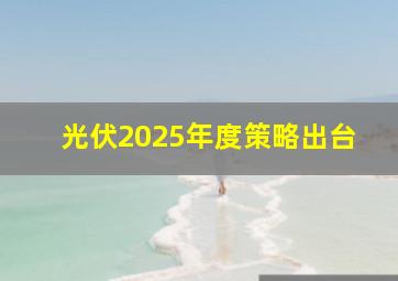 光伏2025年度策略出台